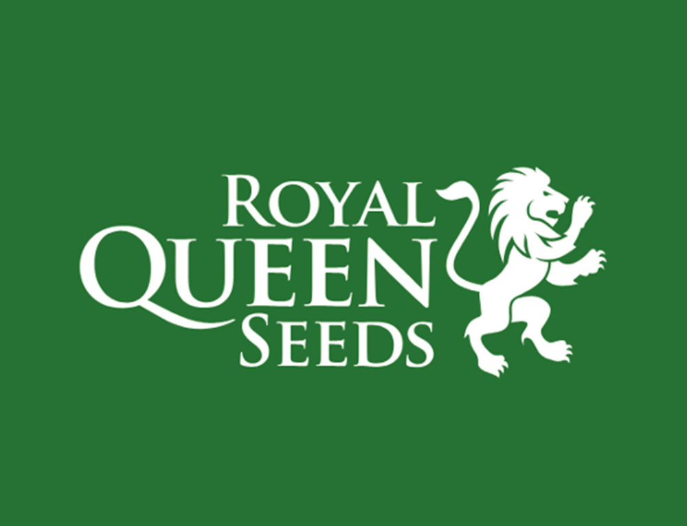 Роял перевод. Royal Queen Seeds. Royal Queen. Royal Queen Seeds logo. Wedding Gelato Royal Queen Seeds.